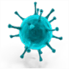 Alpha Virus