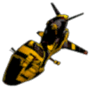 Wasp