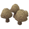 Mushrooms - Harvestable