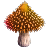 Spiky mushroom